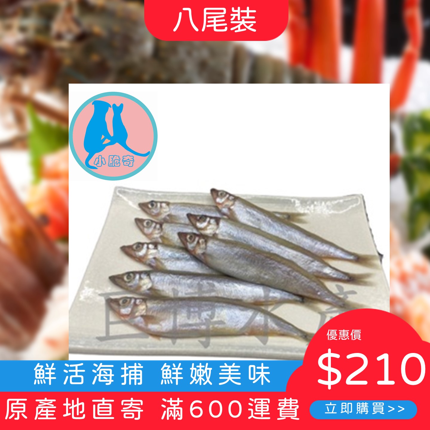 柳葉魚1 柳葉魚1